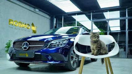 ROSHO The Auto Detailer business photograph
