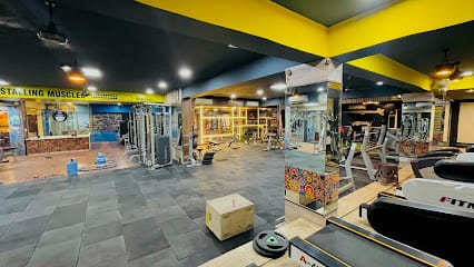 BLUE MUSCLE-THE FITNESS ZONE business photograph