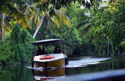 Poovar Boating Services by Gaviya Tours business photograph