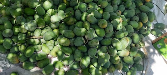 Vasudha Prakrutik Farm, વસુધા પ્રાકૃતિક ફાર્મ business photograph