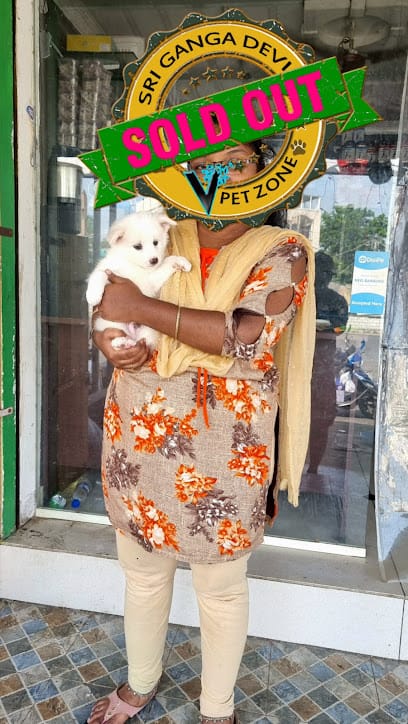 Sri Ganga devi V pet zone & Aquarium business photograph