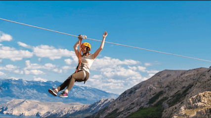 Zip Line & Adventure Activity Manufacture business photograph