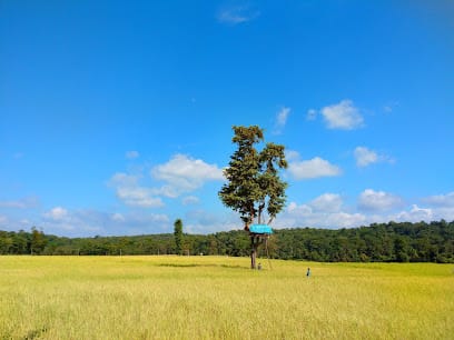 Wayanad Adventure Tours business photograph