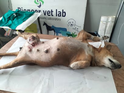 Dr.Rashmi veterinary doctor for pets business photograph