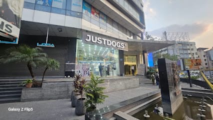JUSTDOGS | Nagpur - Pet Store business photograph