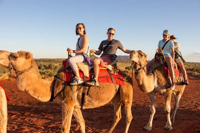 Babu Desert Safari business photograph