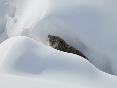Wander Spiti Tours kaza business photograph
