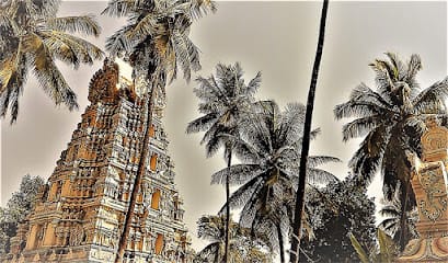 Hidden Gems Tours business photograph