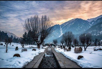 Mountain milestone tours & travels- travel agency in sikkim business photograph