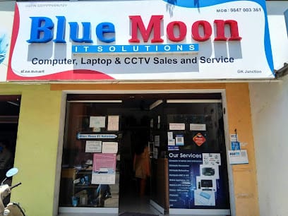 BlueMoon IT Solutions business photograph