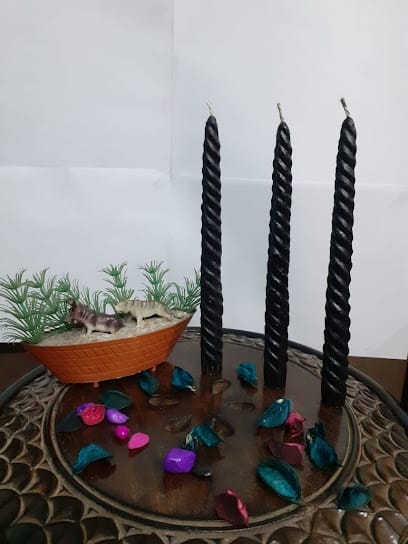 Phobis business photograph