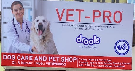 Dog Care & Pet Shop business photograph