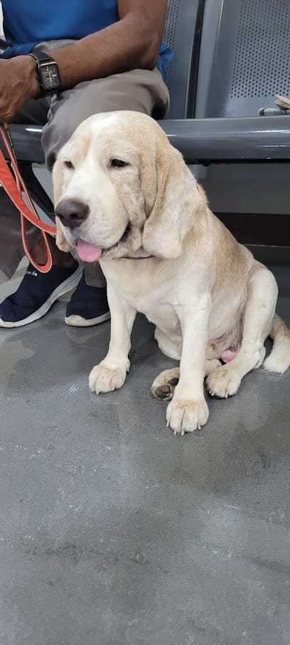 Paws N Tails Premium Pet Hospital business photograph