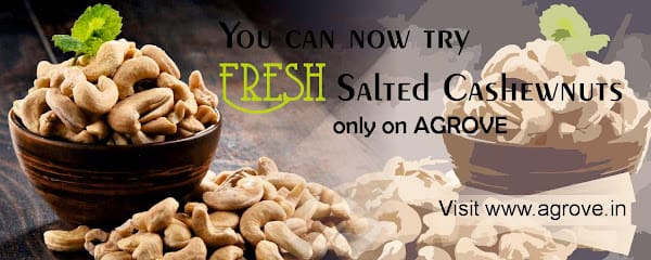 AGROVE INDIA - Organic Goan Cashew nuts business photograph