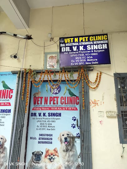 VET N PET CLINIC business photograph