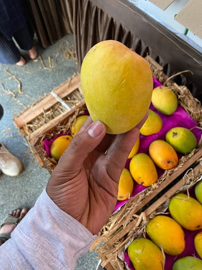 Roots N Fruits - online vegetable delivery service business photograph