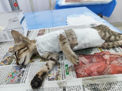 Dr. Aman kr(veterinarian) pet clinic business photograph