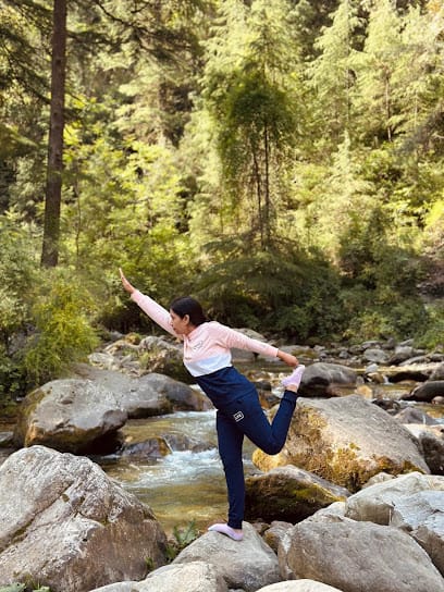 Yoga & Wellness by Aditi business photograph