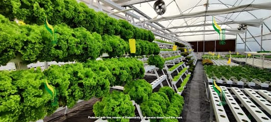 Greentech Organic Hydroponics Systems mfrs business photograph