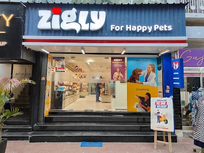 Zigly - Vet Clinic, Pet Grooming & Pet Products | Green Park business photograph
