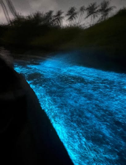 Kayakify Kochi - Kayaking in Kochi business photograph