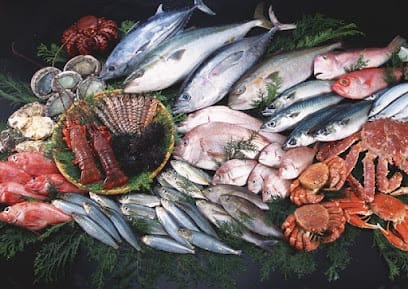 Fresh Fish Mumbai business photograph