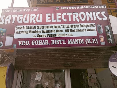 Satguru Electronics business photograph