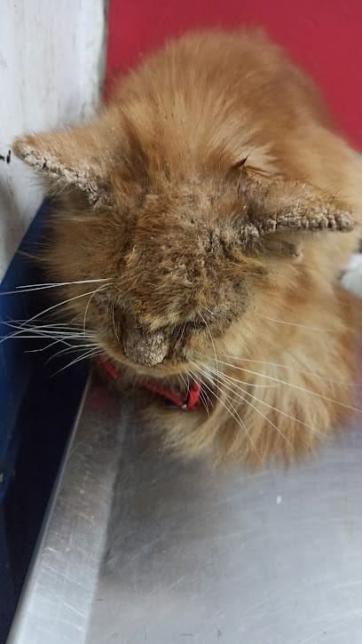 ADITYA PET CLINIC business photograph