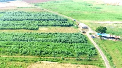 Farming India Pvt Ltd business photograph