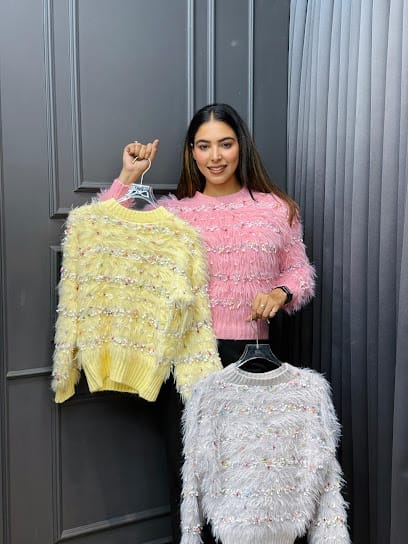 Butterfly Fashion Hamirpur business photograph