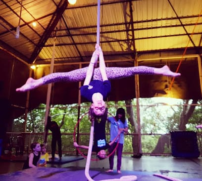 Omaggio Goa business photograph