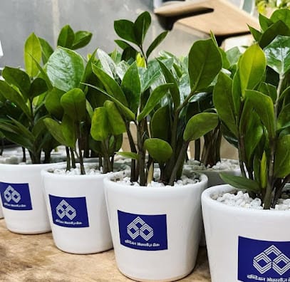 Plantwale Landscaping Solutions - Terrace & Balcony Garden Design | Lawn Grass | Vertical Garden | Green Gifting business photograph