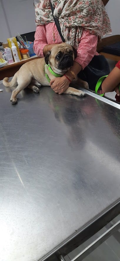 Vet Fort Pet Clinic business photograph