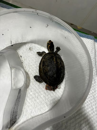 Scott pet clinic and surgical centre business photograph