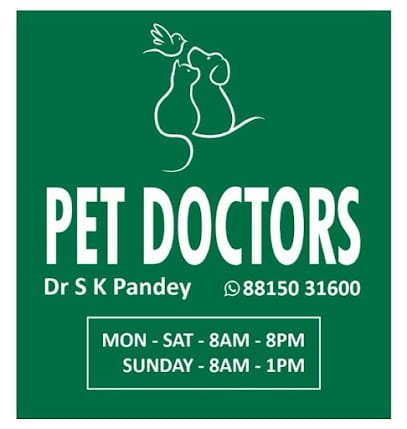 PET DOCTORS Clinic business photograph