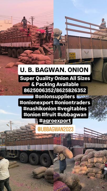 U. B. Bagwan Onion Trader(Suppliers) Solapur (यू. बी. बागवान) कांदा आडत व्यापरी, सोलापूर business photograph