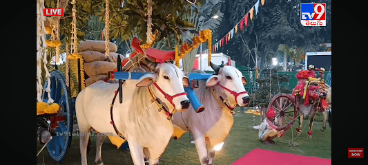 Shankar crafts business photograph