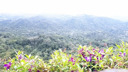 MUNNAR TRIP PLANNERS business photograph