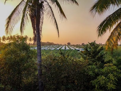 Laxmi Bhoomi Seva Farm business photograph