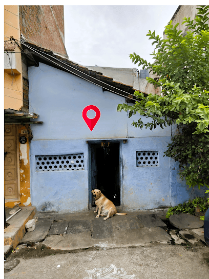 Saran Pets Shop And Pet Farm business photograph