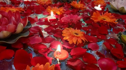 Celebration Event & Wedding Planner business photograph