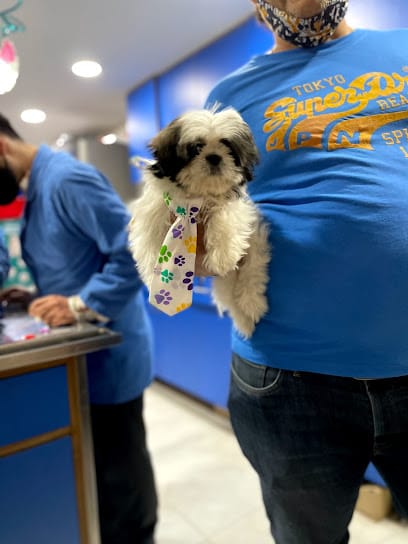 SJS Pet Care and Clinic business photograph