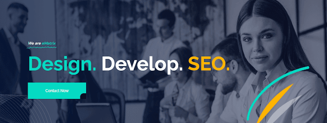 eMatrix Infotech Pvt. Ltd. business photograph