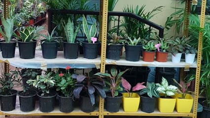 Plant Stories business photograph