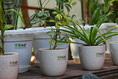 Rileaf business photograph