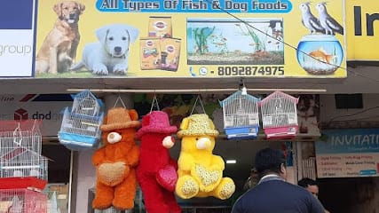 Happy Fish and pets house business photograph