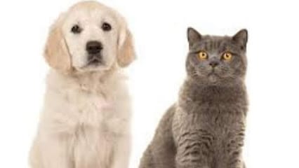 Dr. Sagar Thosar business photograph