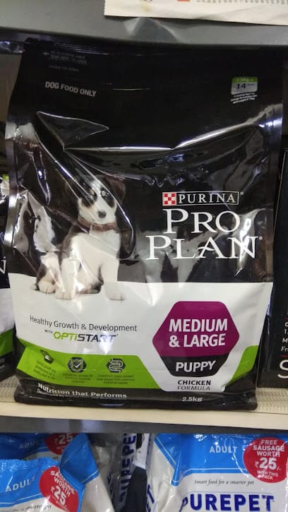 Dr. Chandi dog clinic business photograph