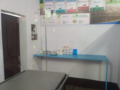 City Pet Hospital business photograph