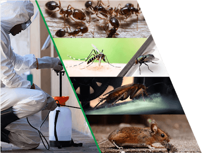 APSO SERVICES PRIVATE LIMITED business photograph